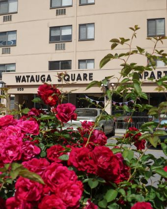 watauga square exterior